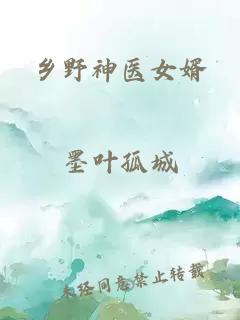 乡野神医女婿